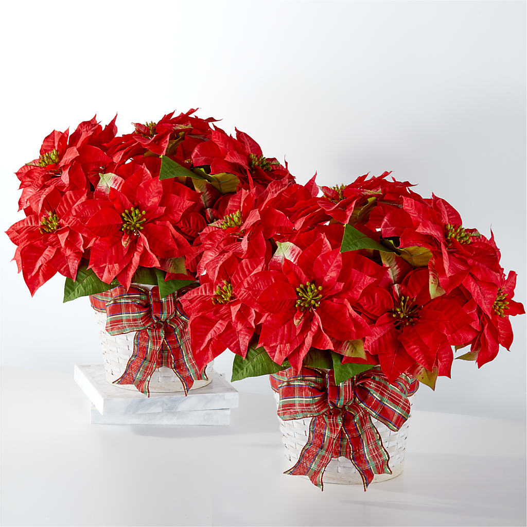 Happiest Holidays Poinsettia Bundle – La Fleur Bijou, Fort Lauderdale FL