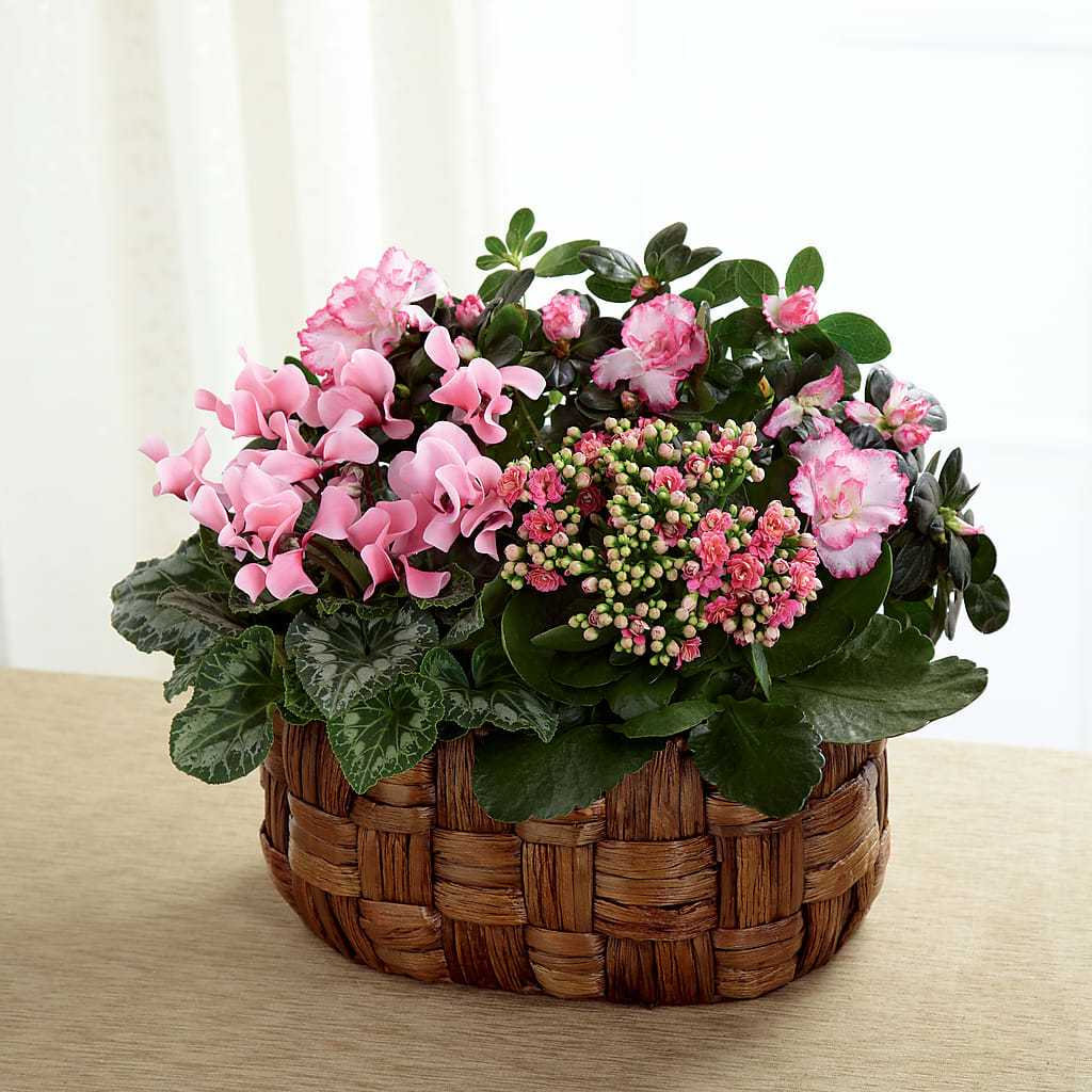 Pink Assortment – La Fleur Bijou, Fort Lauderdale FL