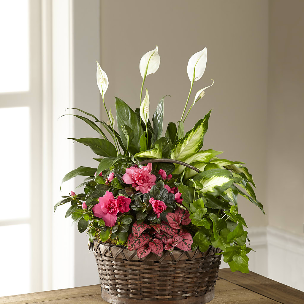 Dream in Pink Dishgarden – La Fleur Bijou, Fort Lauderdale FL
