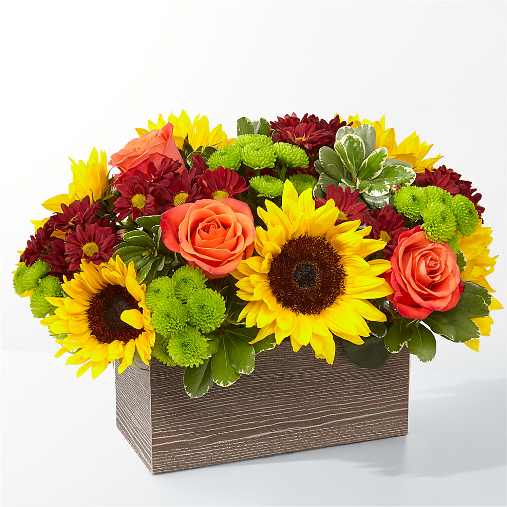 Happy Harvest Garden – La Fleur Bijou, Fort Lauderdale FL