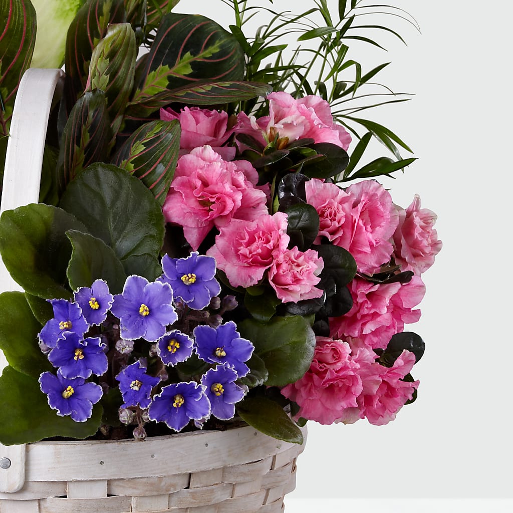 Peaceful Garden Planter – La Fleur Bijou, Fort Lauderdale FL