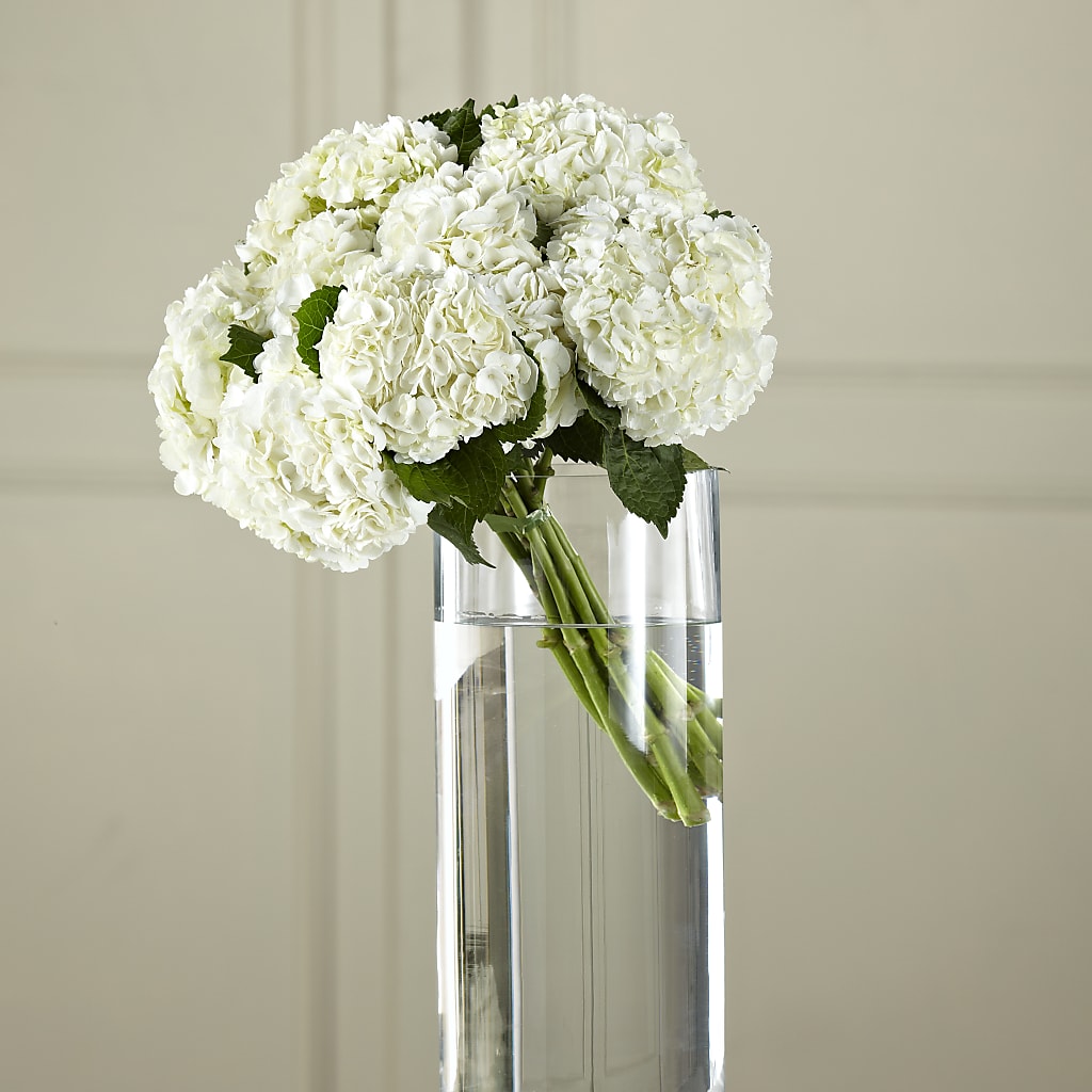 White Hydrangea Hand-Tied Bouquet – La Fleur Bijou, Fort Lauderdale FL