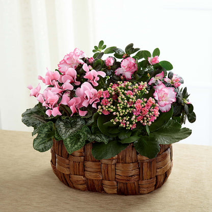 Pink Assortment –  La Fleur Bijou, Fort Lauderdale FL