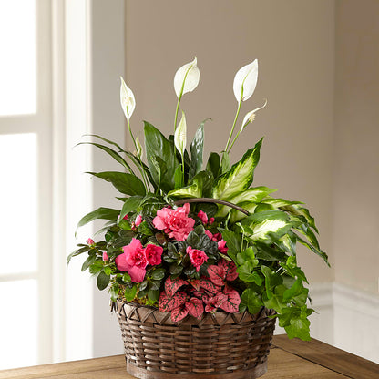 Dream in Pink Dishgarden –  La Fleur Bijou, Fort Lauderdale FL