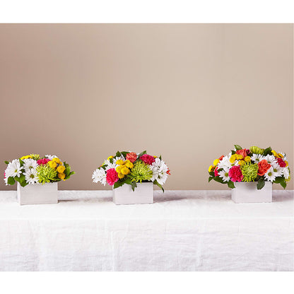 Sorbet Bouquet –  La Fleur Bijou, Fort Lauderdale FL