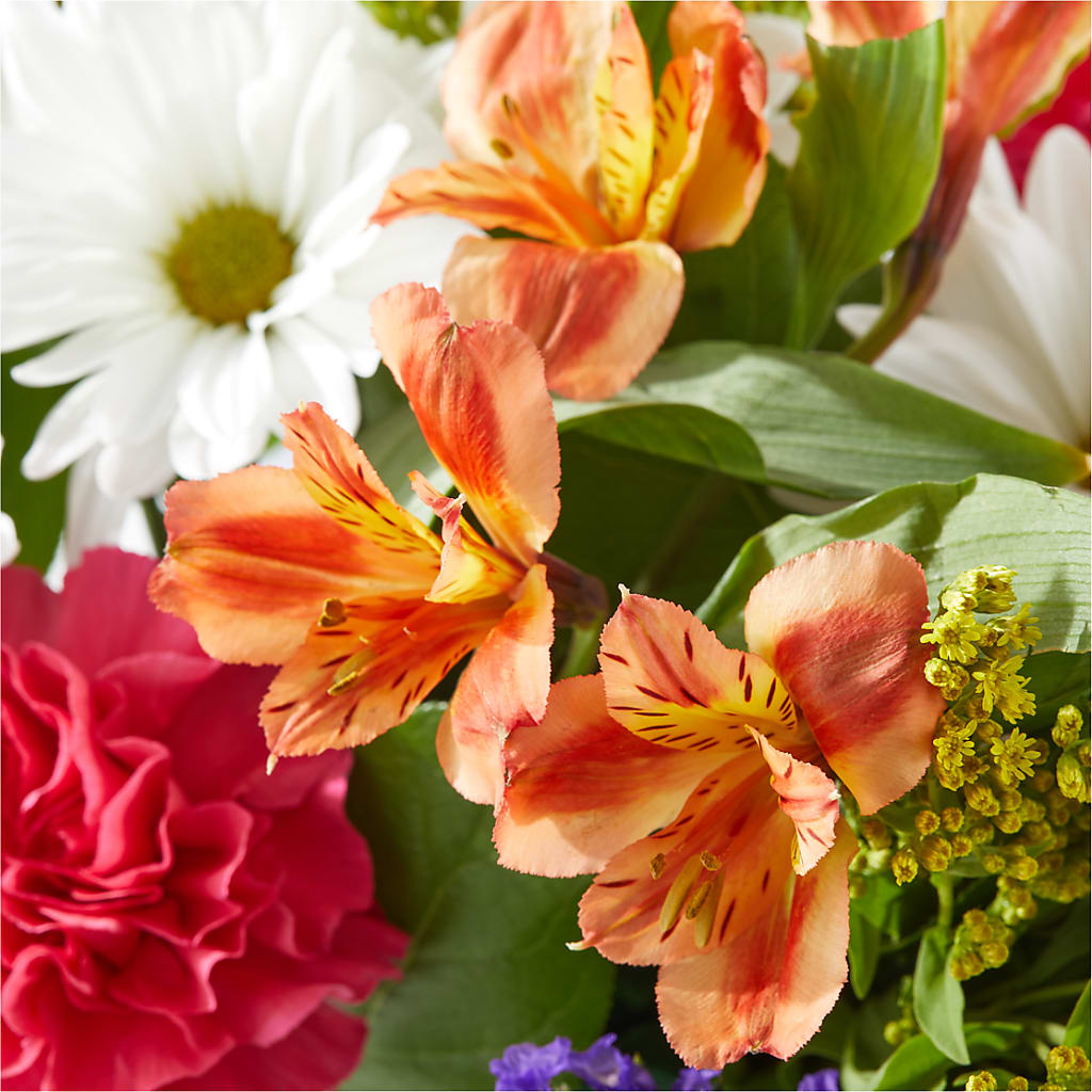 Oopsie Daisy Box Bouquet –  La Fleur Bijou, Fort Lauderdale FL
