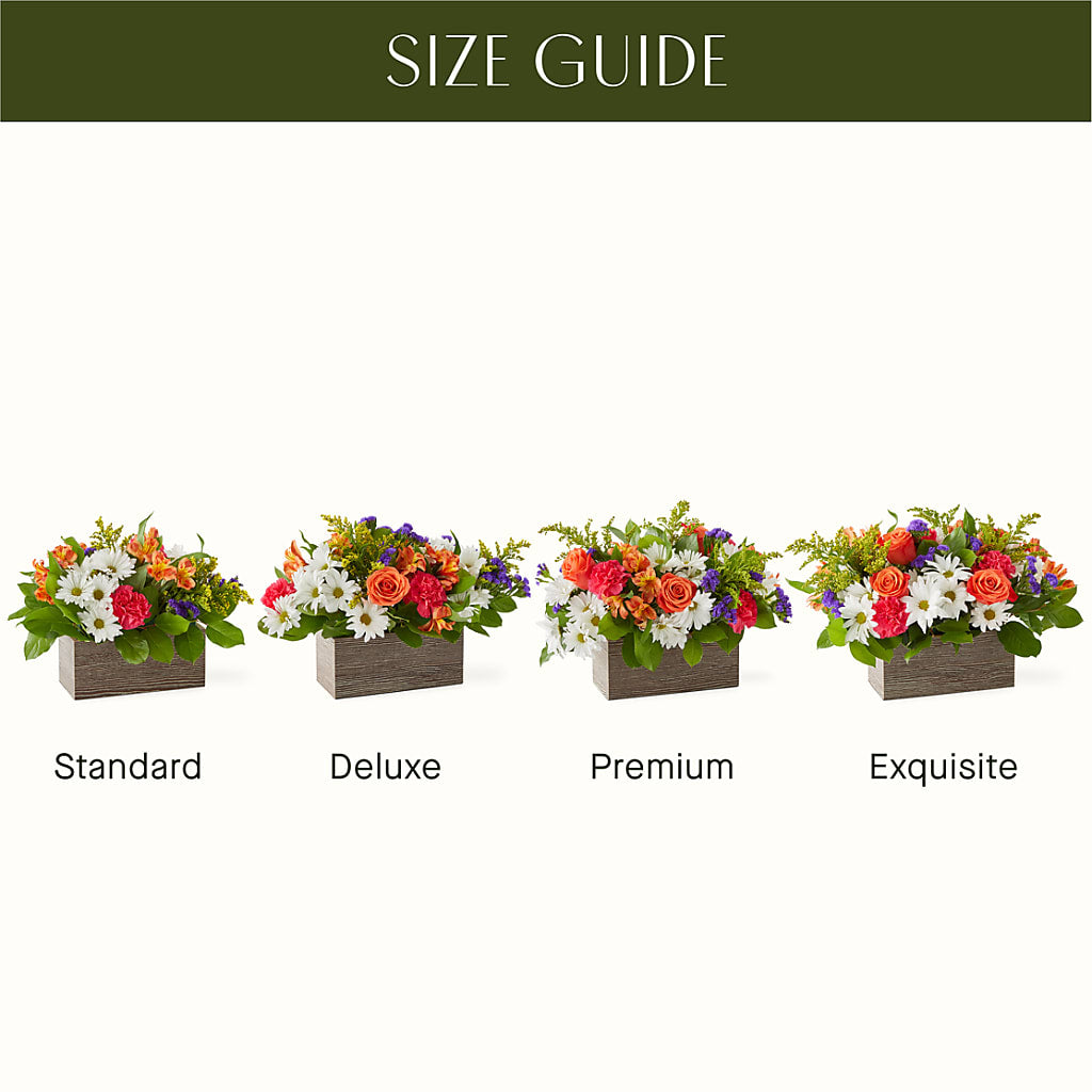 Oopsie Daisy Box Bouquet –  La Fleur Bijou, Fort Lauderdale FL