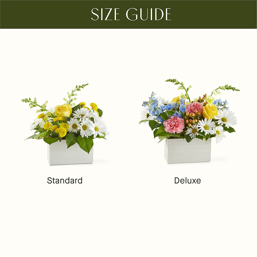 Sun Salutation Box Bouquet –  La Fleur Bijou, Fort Lauderdale FL