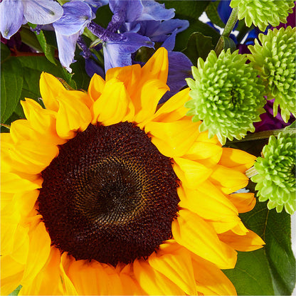 Catching Rays Bouquet –  La Fleur Bijou, Fort Lauderdale FL
