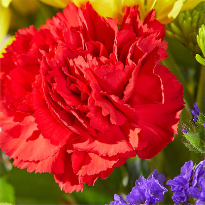 Brighter Days Bouquet –  La Fleur Bijou, Fort Lauderdale FL