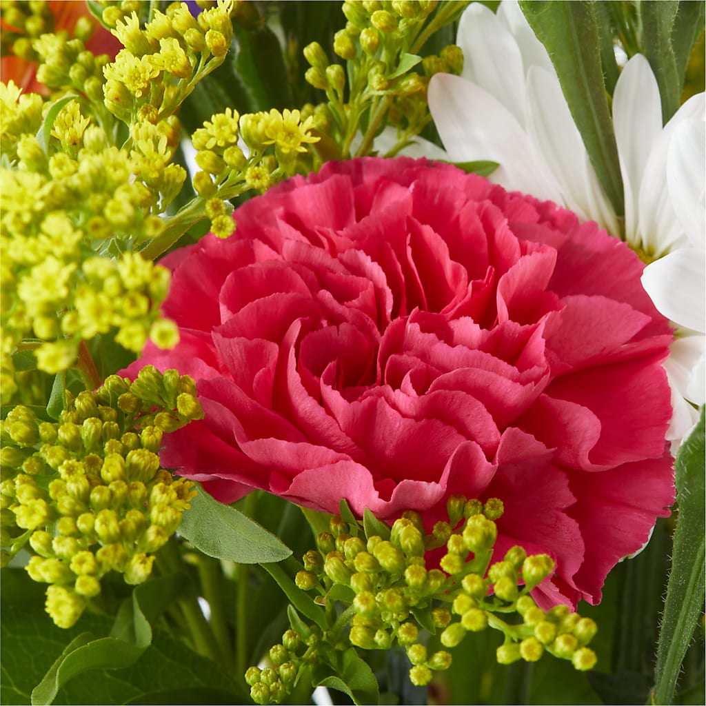 Oopsie Daisy Bouquet –  La Fleur Bijou, Fort Lauderdale FL