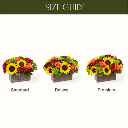 Happy Harvest Garden –  La Fleur Bijou, Fort Lauderdale FL
