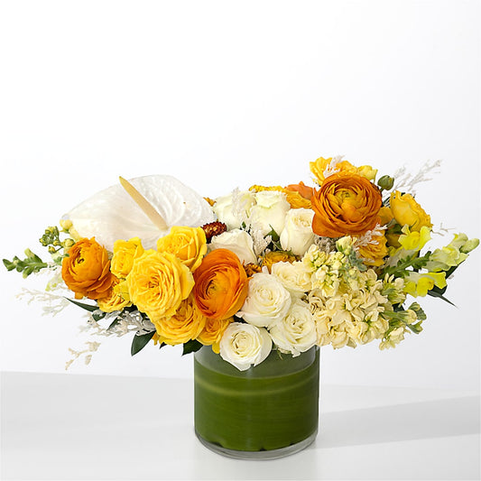 The Optimist –  La Fleur Bijou, Fort Lauderdale FL