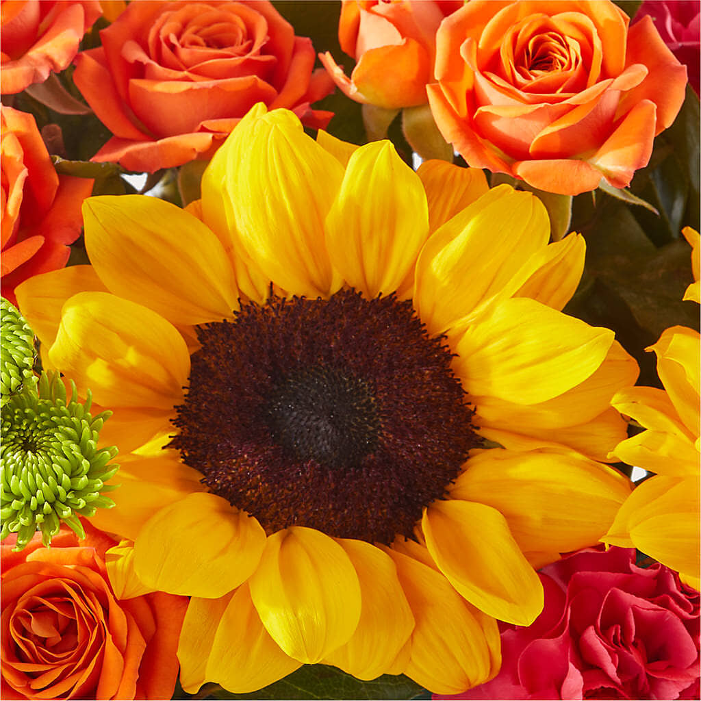 Sun-drenched Blooms Box Bouquet –  La Fleur Bijou, Fort Lauderdale FL