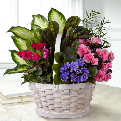 Peaceful Garden Planter –  La Fleur Bijou, Fort Lauderdale FL