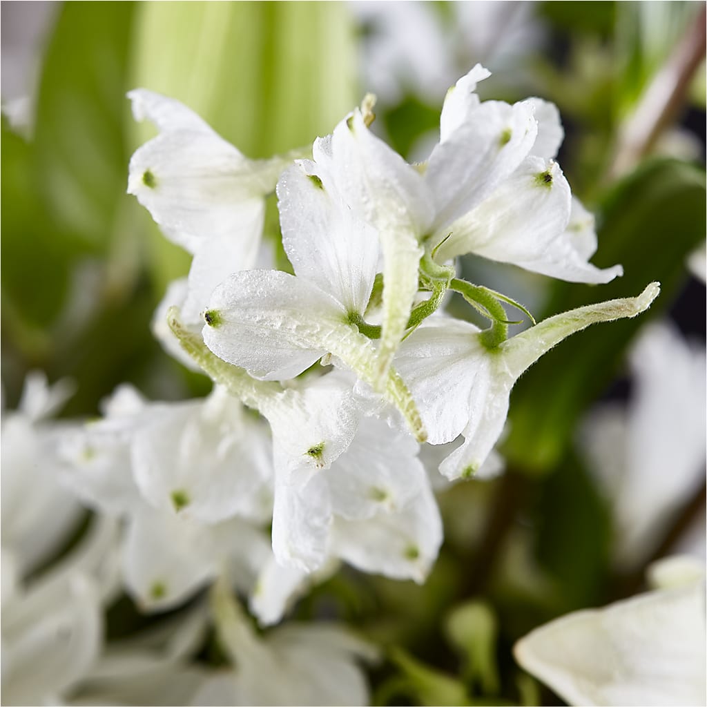 Classic Ivory – A Florist Original –  La Fleur Bijou, Fort Lauderdale FL