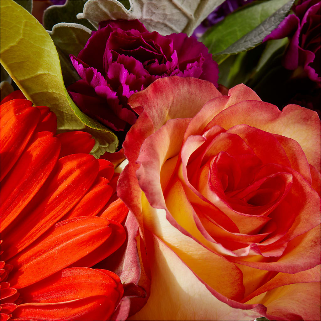 Sangria Bouquet –  La Fleur Bijou, Fort Lauderdale FL