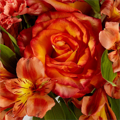 Apricot Glow Bouquet –  La Fleur Bijou, Fort Lauderdale FL
