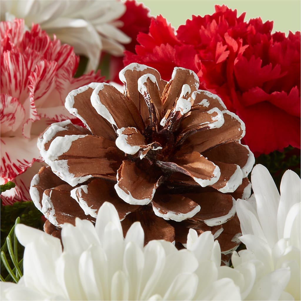 Candy Cane Lane Bouquet –  La Fleur Bijou, Fort Lauderdale FL