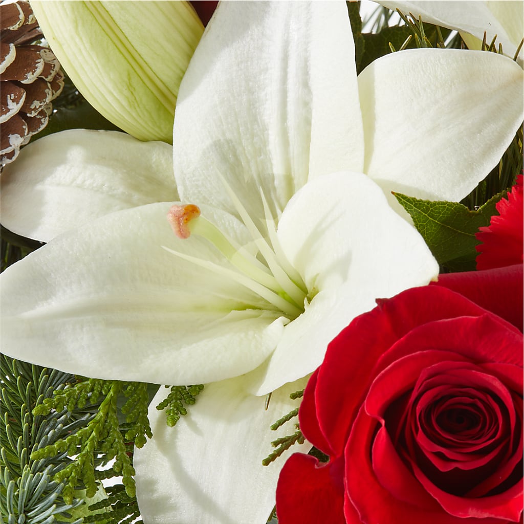 Oh So Jolly Bouquet –  La Fleur Bijou, Fort Lauderdale FL
