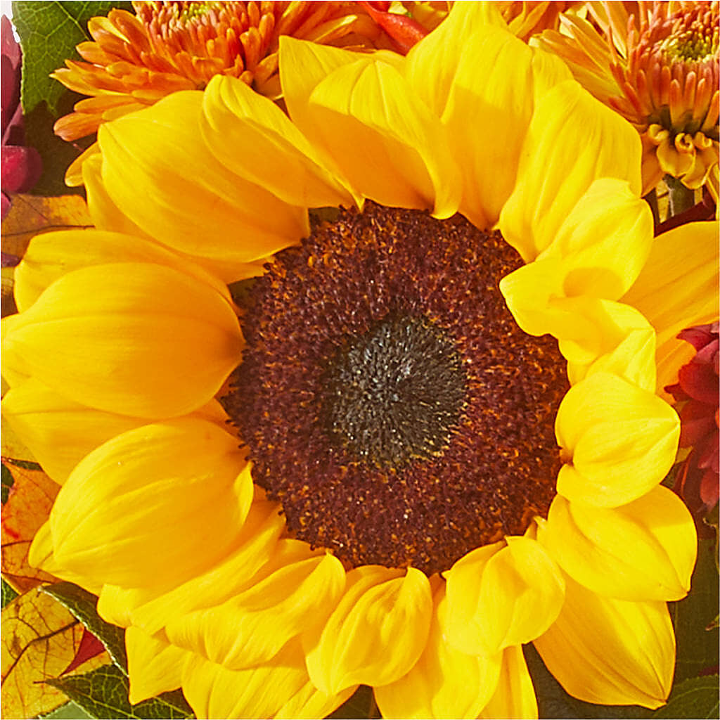 Sunny Side Bouquet –  La Fleur Bijou, Fort Lauderdale FL