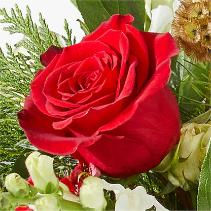 Deck the Halls Bouquet –  La Fleur Bijou, Fort Lauderdale FL