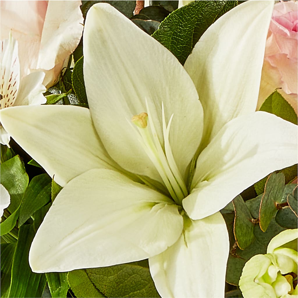 Ballet Slippers Bouquet –  La Fleur Bijou, Fort Lauderdale FL