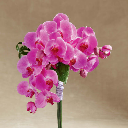 Glorious Bouquet –  La Fleur Bijou, Fort Lauderdale FL