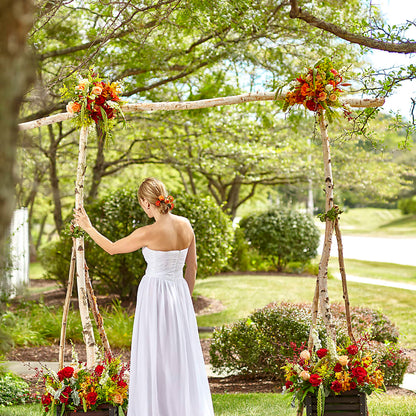 Arbor of Love Archway –  La Fleur Bijou, Fort Lauderdale FL