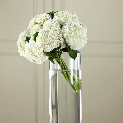 White Hydrangea Hand-Tied Bouquet –  La Fleur Bijou, Fort Lauderdale FL